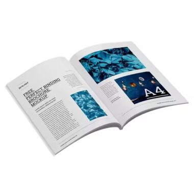 Custom Perfect Bound Booklet for Catalogs and Novels