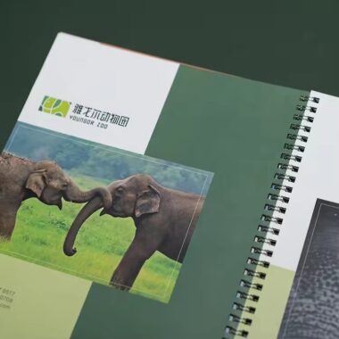 Custom Spiral Bound Catalog Booklet with Printed Cover